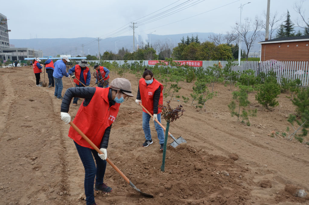 星火機床公司持續開展綠化工作 星火機床公司持續開展綠化工作